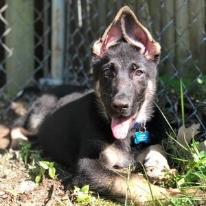 Meet your Posher, Lauren